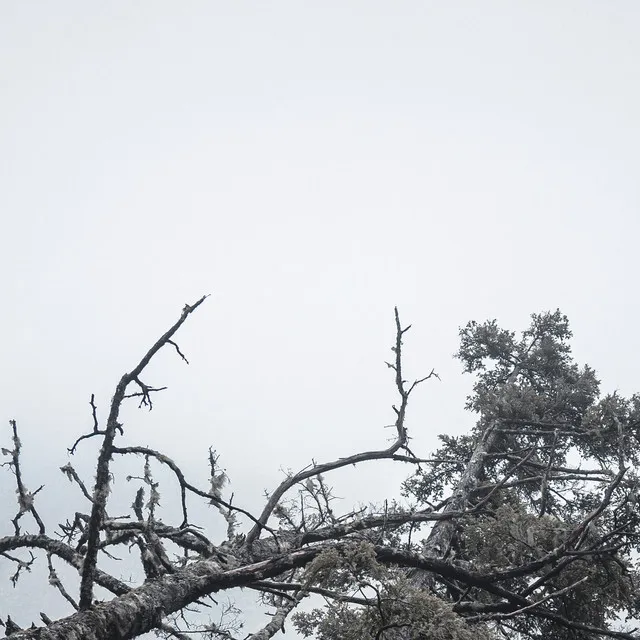 霧と砂