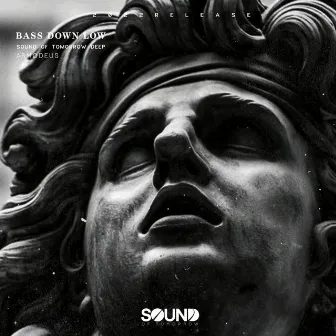 Bass Down Low by Sound of Tomorrow