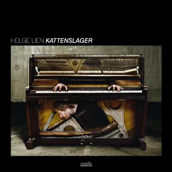 Kattenslager by Helge Lien