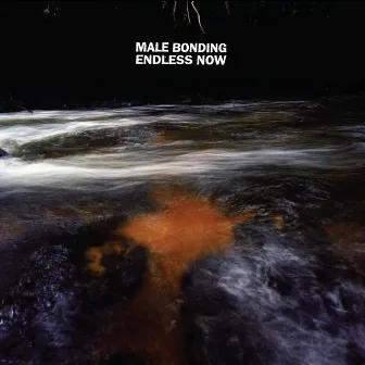 Endless Now by Male Bonding