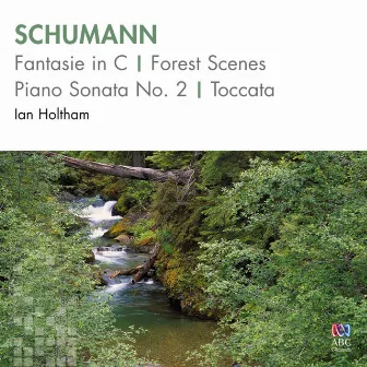 Schumann: Fantasie in C / Forest Scenes / Piano Sonata No. 2 / Toccata by Ian Holtham