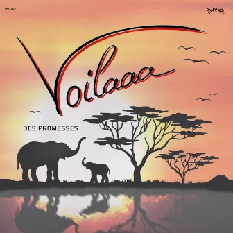 Des Promesses by Voilaaa