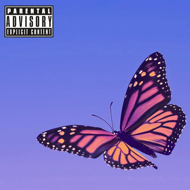 Butterflies - Remix