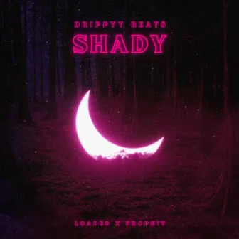 Shady by Drippyy Beats