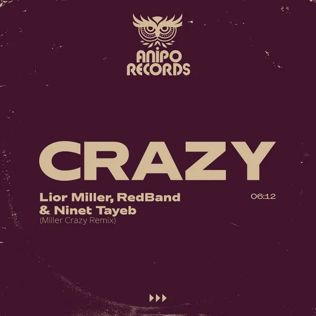 Crazy - Remix