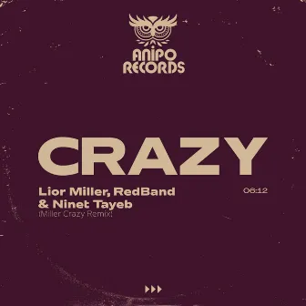 Crazy (Remix) by Lior Miller