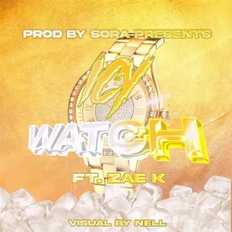 Icy Watch by Flight Crew