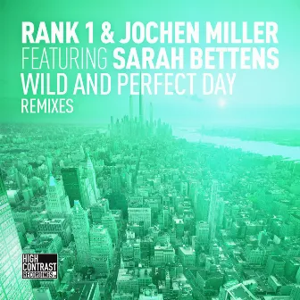 Wild and Perfect Day (The Remixes) by Sarah Bettens