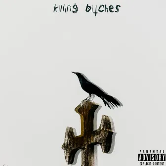 Killing Bitches by Heathen Hawking