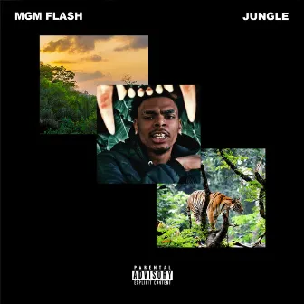 Jungle by MGM Flash