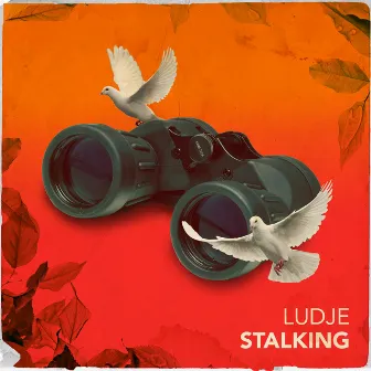 Stalking by Ludje