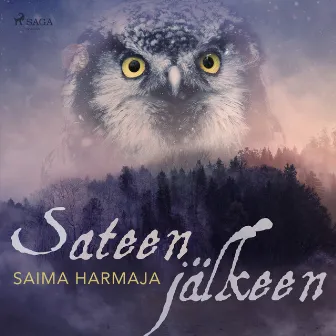 Sateen jälkeen by Saima Harmaja