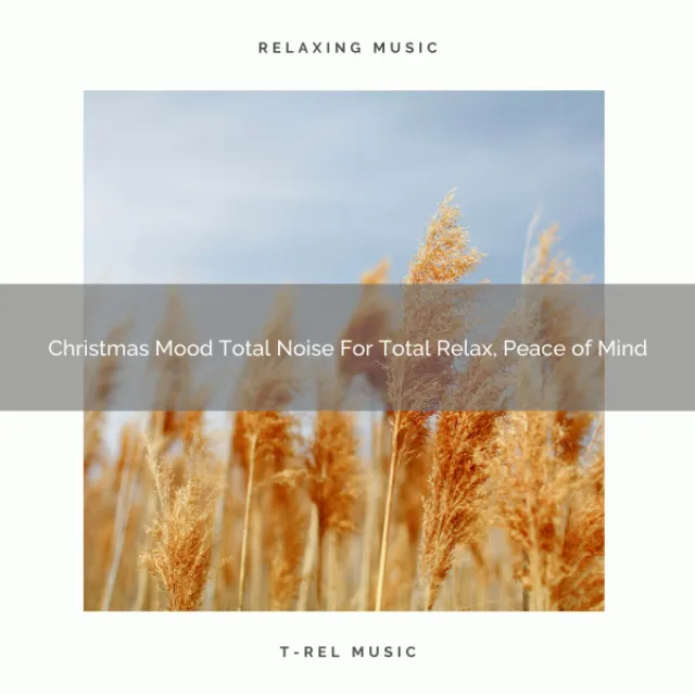 Christmas Mood Total Noise For Total Relax, Peace of Mind