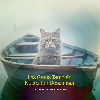 Los Gatos También Necesitan Descansar by Música Relajante para Gatos