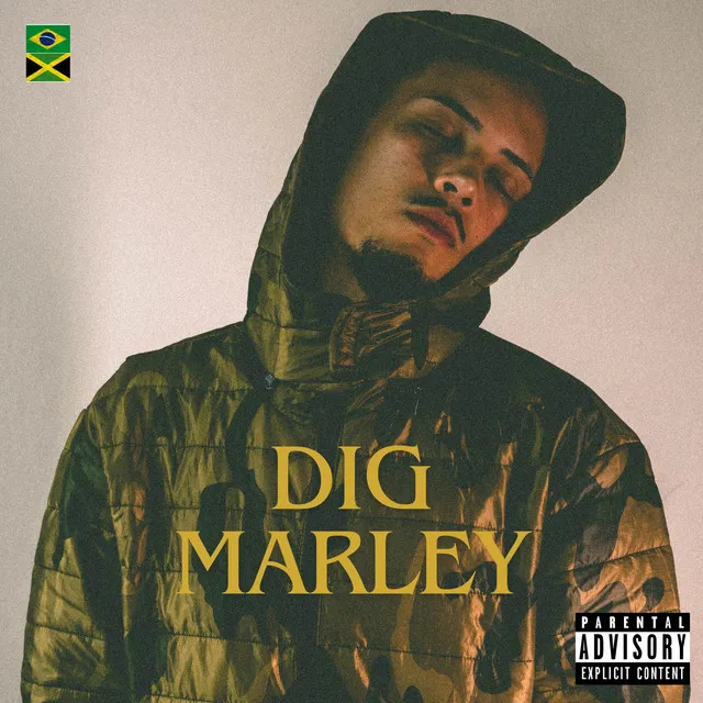 Digmarley