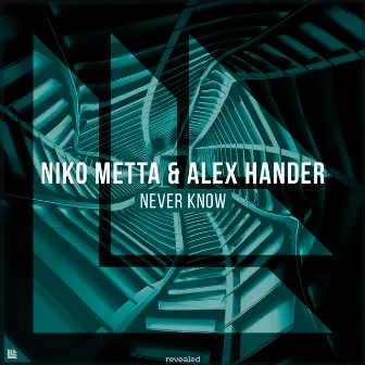 Never Know by Niko Metta