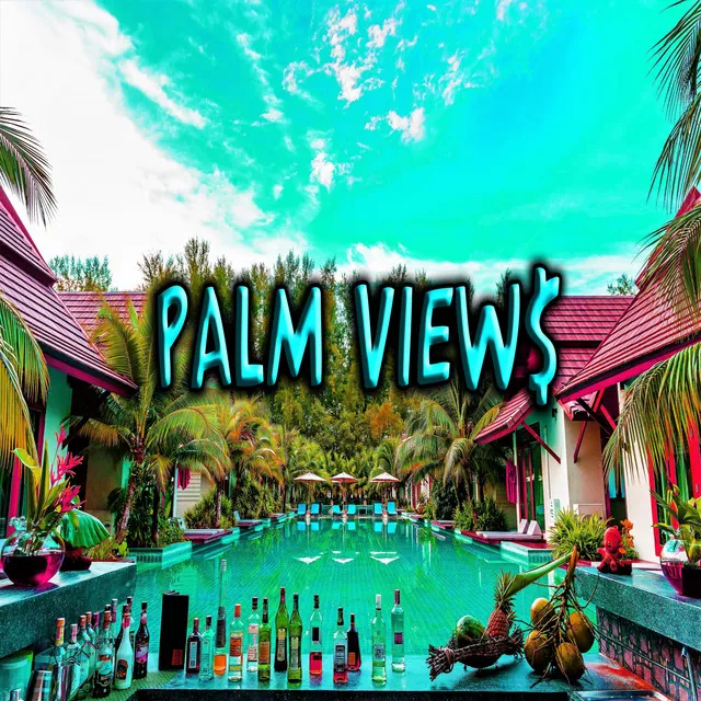 Palm View$