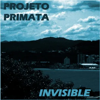 Invisible by Projeto Primata