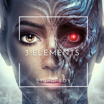 Stupid Boy by 3 Elements