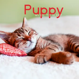 Puppy Music To Sleep – Cute Melodies For Doggy And Kitty Days by Cute Baby World