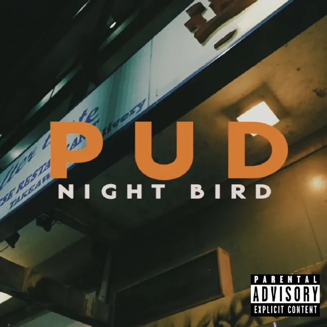 Night Bird