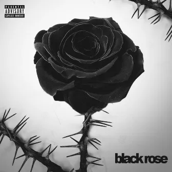 Black rose by BBS