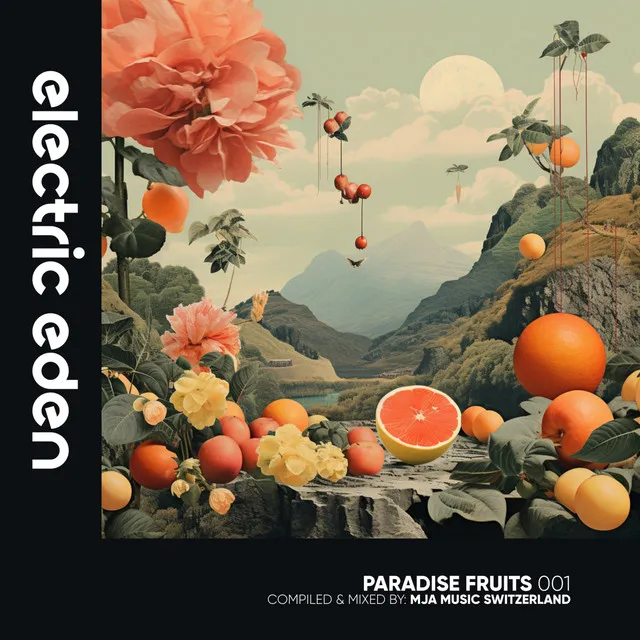 Paradise Fruits 001 (DJ Mix)