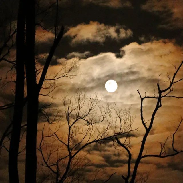 Night Moon Macabre