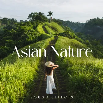 Asian Nature Sound Effects (Relaxing Rain & Thunderstorm Collection) by Sound Effects Zone