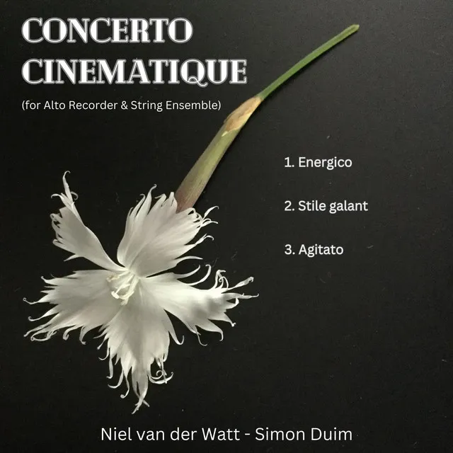 Niel van der Watt: Concerto Cinematique (for Alto Recorder)