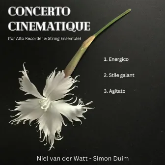 Niel van der Watt: Concerto Cinematique (for Alto Recorder) by Niel Van Der Watt