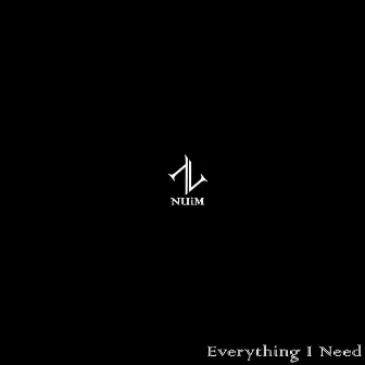 Everything I Need by NUiM