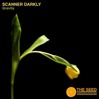 Gravity by Scanner Darkly