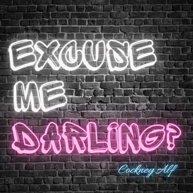 Excuse Me Darling?