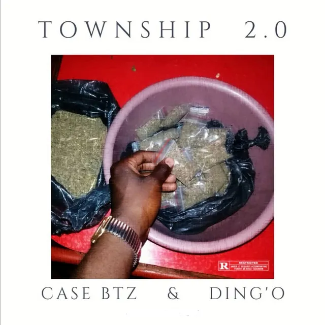 Township 2.0