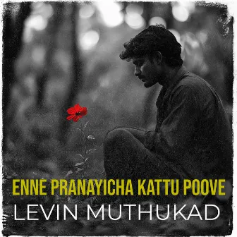 Enne Pranayicha Kattu Poove by Levin Muthukad