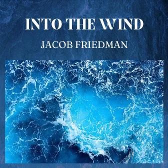 Into the Wind by Jacob Friedman