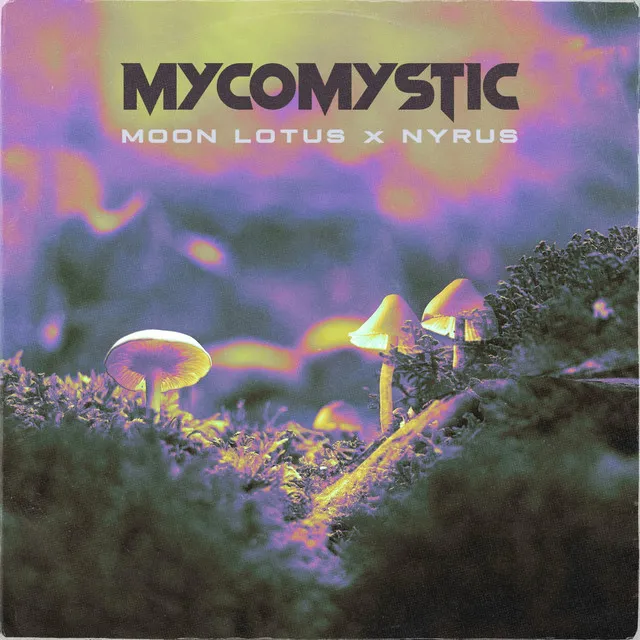 Mycomystic