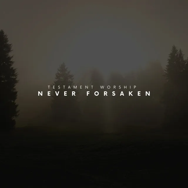 Never Forsaken (Reimagined)