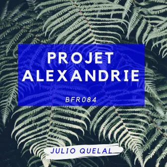 Projet Alexandrie by Julio Quelal