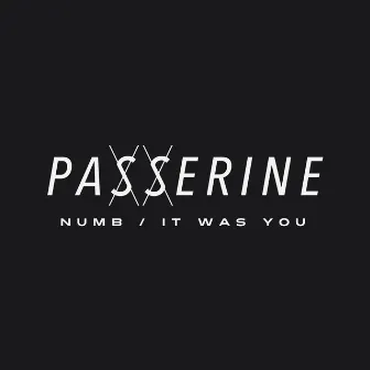 Numb / It Was You by Passerine