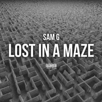 Lost in a Maze by Sam G