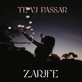 Te Vi Passar by Zarife