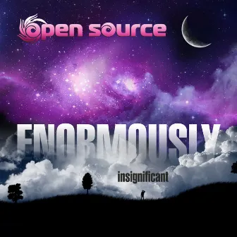 Enormously Insignificant by Open Source