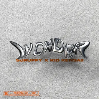 Wonder by Scruffy