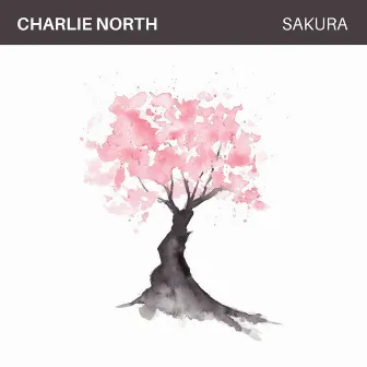 Sakura by Charlie North