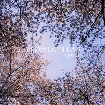 Spring in Seoul by Yeowoon Lab.