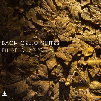 BACH CELLO SUITES by Filipe Quaresma