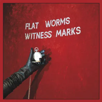 Witness Marks by Flat Worms