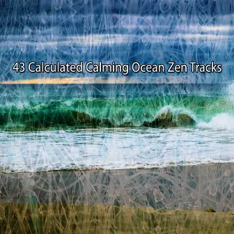 43 Calculated Calming Ocean Zen Tracks by Ocean Waves